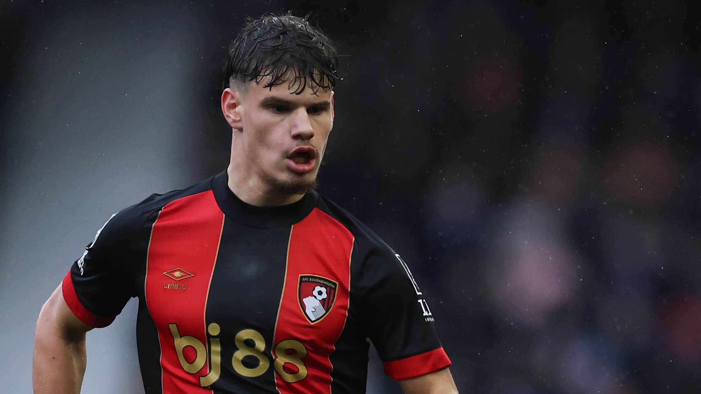 生的免费体 生的免费体